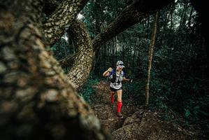 BIB: 
                            <button type="button" onclick="openModal(25704225)" class="btn btn-primary btn-sm float-right btn-popup" data-toggle="modal" data-target=".modal-high-quality">
                        <i class="fas fa-shopping-cart"></i> Add to Cart
                    </button>
                                            <button type="button" onclick="isThisMe(25704225, true)" class="btn btn-success btn-sm float-right btn-popup btn-isme hidden" data-toggle="tooltip" data-placement="bottom" title="นี่คือรูปของคุณใช่ไหม คลิกที่นี่เพื่อเอาเข้าอัลบั้ม">
                        <i class="fas fa-plus"></i> Add to album
                    </button>
                    <button type="button" onclick="isThisMe(25704225, false)" class="btn btn-warning btn-sm float-right btn-popup btn-isnotme hidden">
                        <i class="fas fa-ban"></i> Remove from album
                    </button>